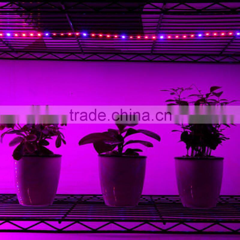 DC12V 300CM 60led/mSMD5050 Flexible Plant Growing led Strip Light