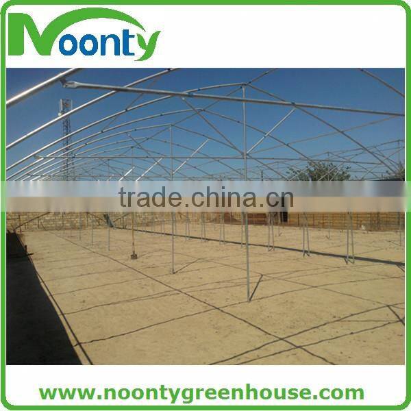 Multispan Tunnel Greenhouse for flower