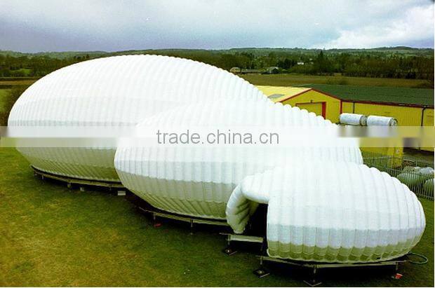 WDA Inflatable Thought Bubbles /bubble inflatable bubble tent