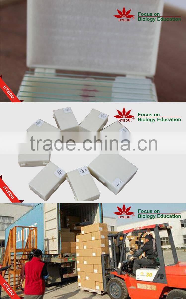 High quality 18pcs blood test prepared slides set