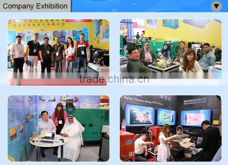 Yidaneng Power 25kw 30kw yangdong diesel engine generator