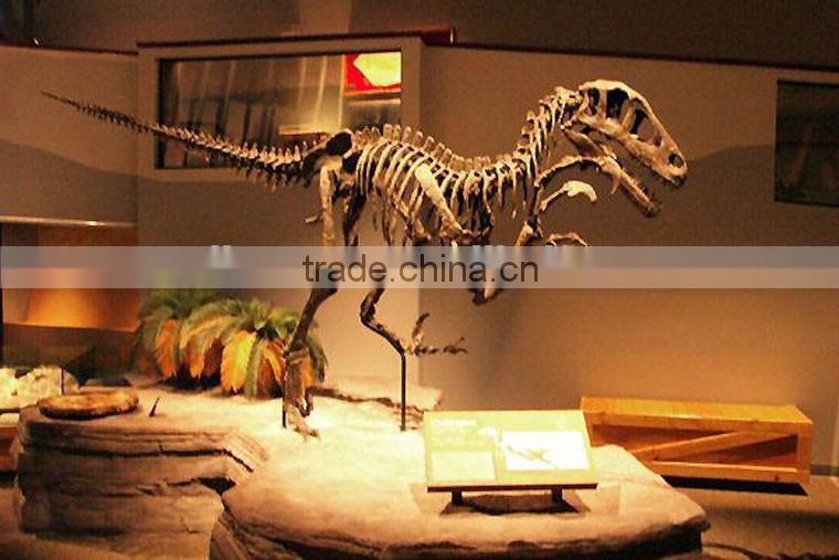 Oriental Dragon Museum quality fossil dinosaur for sale
