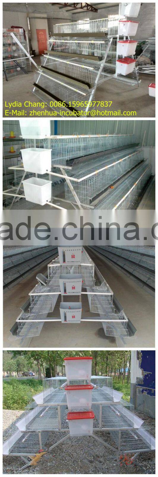 Nigeria chicken farm hot sale layer poultry battery cages (whatsapp : +86 159 6597 7837)