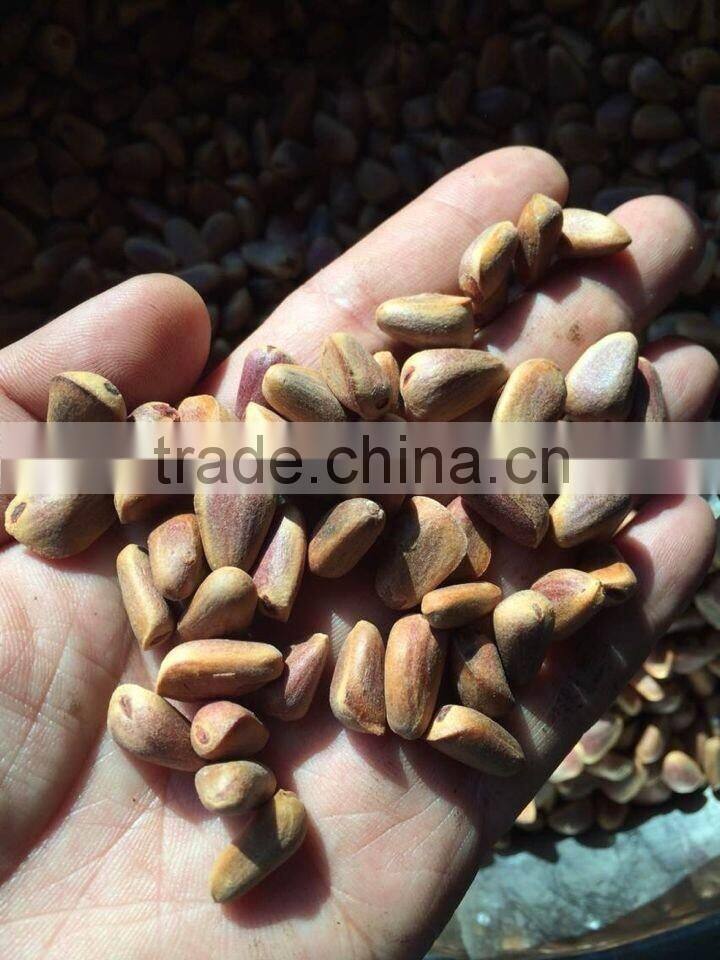 2014 new crop Pine Nuts ; Open in Shell ; Raw Pine Nuts