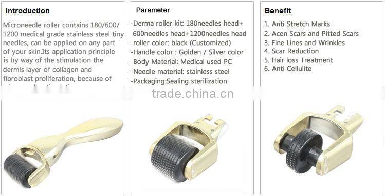 Needles replacable 3 in 1 titanium derma roller