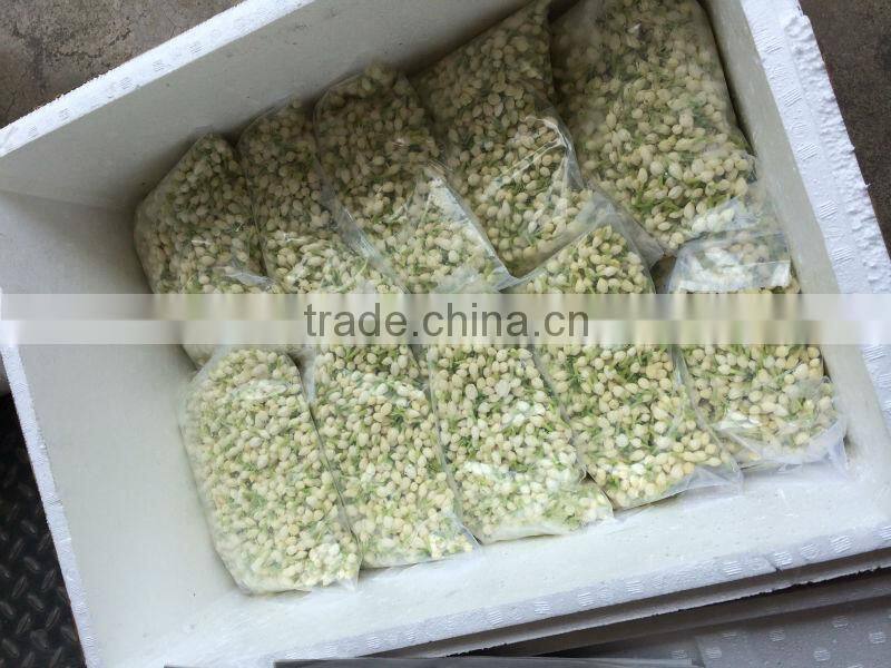 Fresh Jasmine Flower