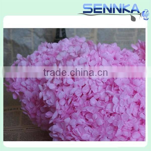 Preserved hydrangea flower Kuming pink hydrangea preserved for wedding table centerpieces
