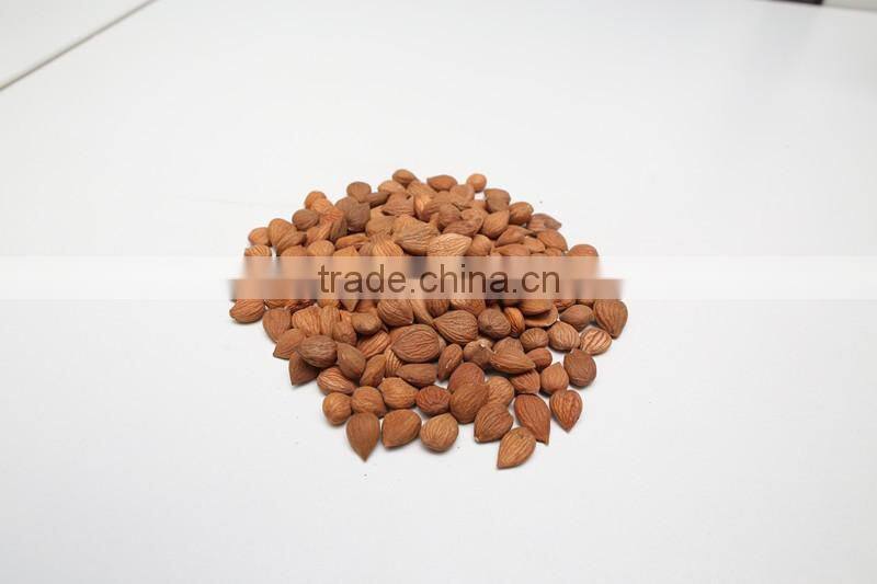 2016 new crop Bitter apricot kernel for sale