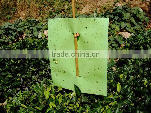 insect trap for Agriculture