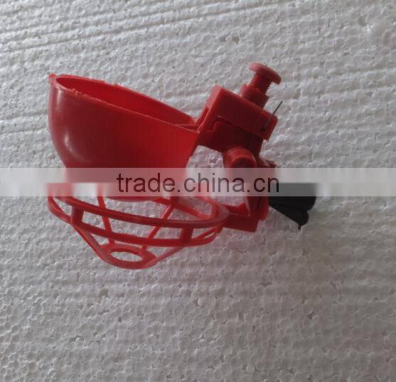 pigeon water drinkers