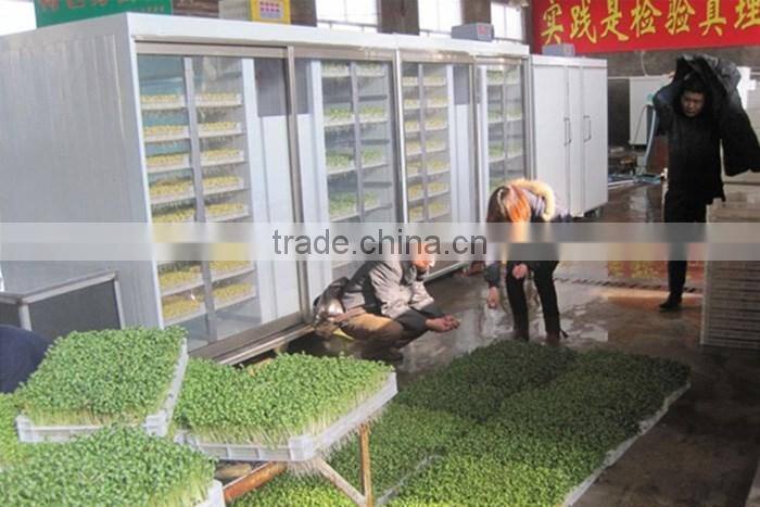 Hydroponic seeds germinate machine/green fodder making barley breeding room