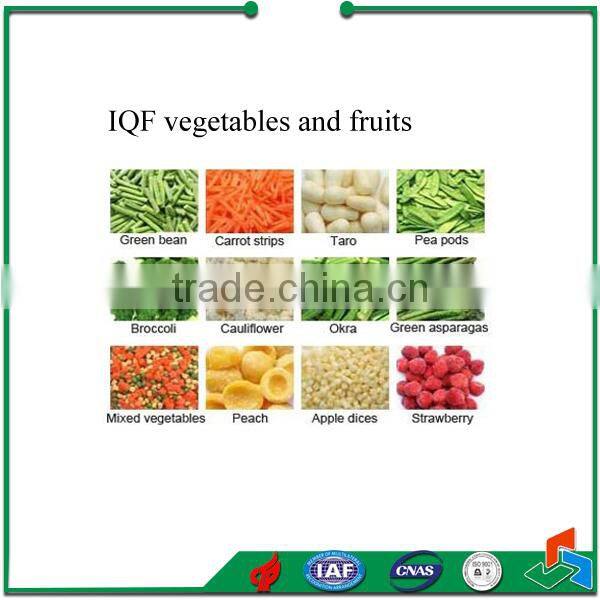 China Spiral IQF freezer For Fruit Vegetable Processing