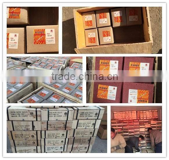 Round head common nails steel wire nails