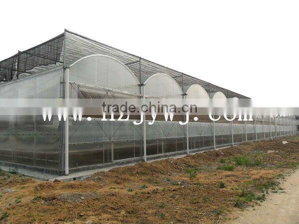 Sunlight greenhouses