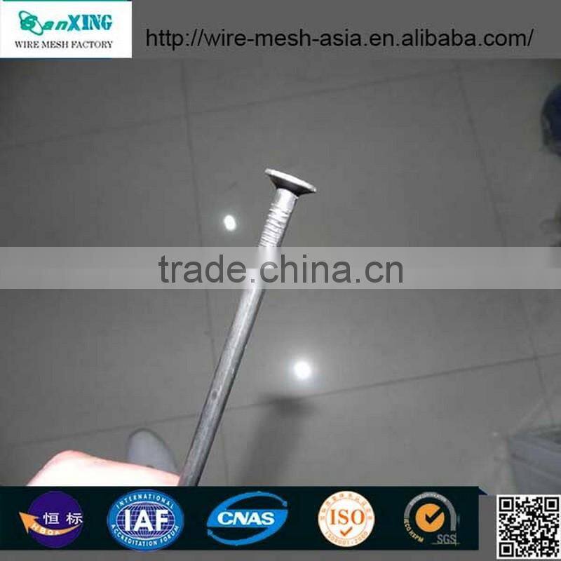 polish concrete nail for construction common nail