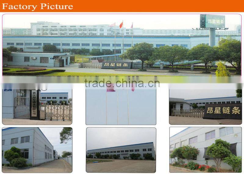 15.875mm Pitch drag chain conveyor