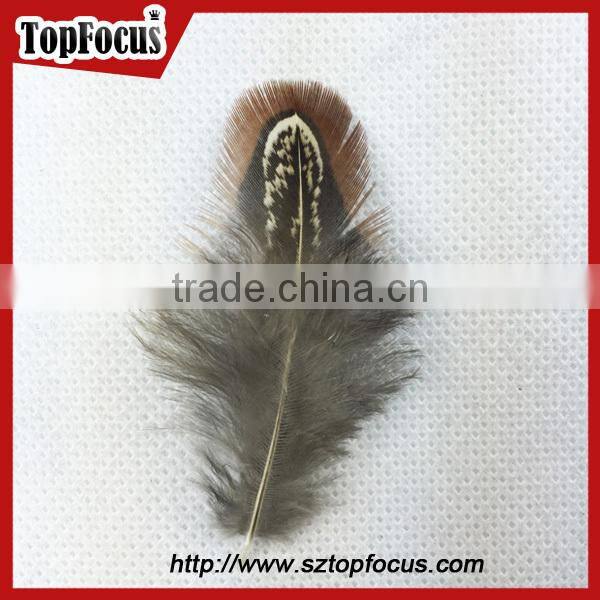 lower price natural synthetic pheasant feathers for carnival costumes
