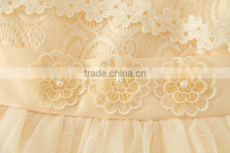 New arrival fashion design small girls dress Lace princess baby girls flower Sexy dresses kids clothes