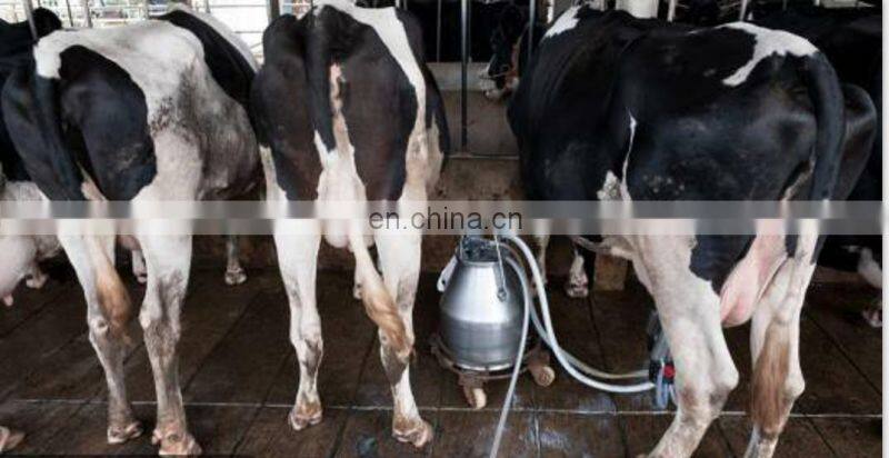 single cow milking machine male milking machine goat milking machine