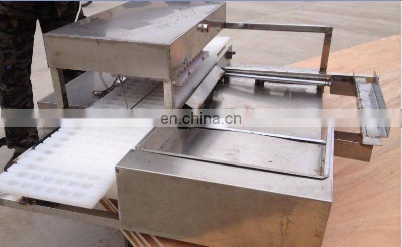 Stainless Steel Kabab Meat Vegetable String Machine