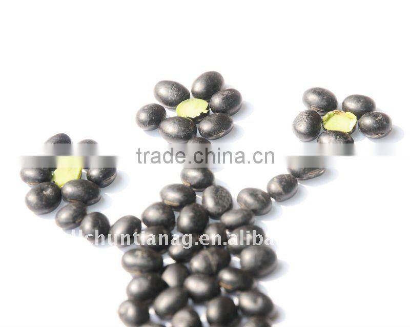 organic black beans with green kernel