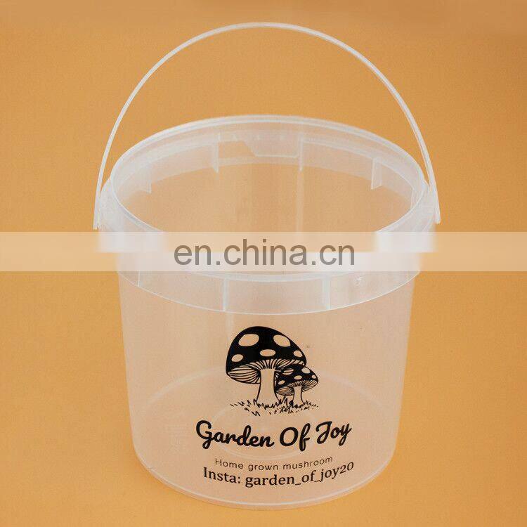 Home Grown Mushroom Pp Material Clear Ice Cream Plastic Packing Bucket Pail with Food Grade