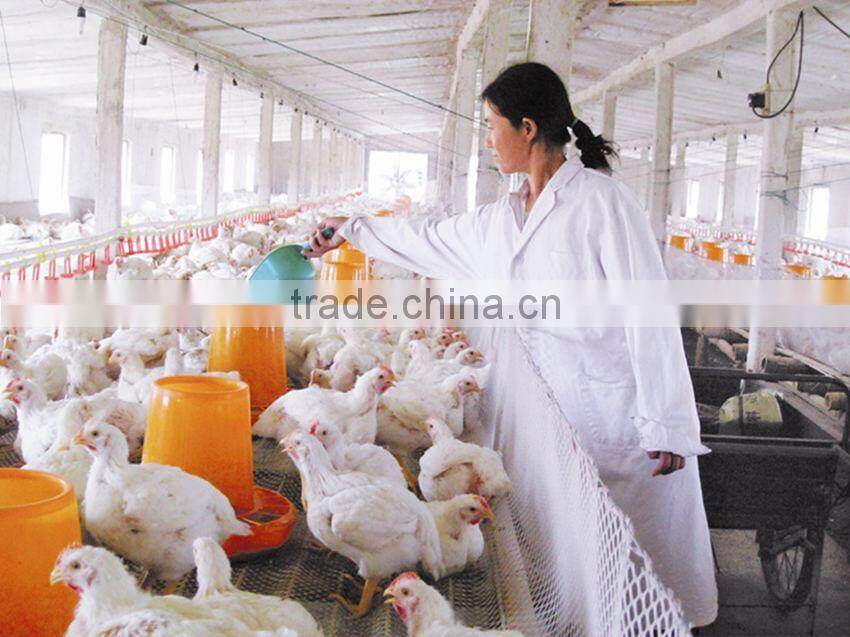 Hanging poultry feeder