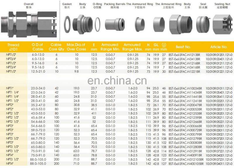 Direct Factory Flameproof Double Locking Single Sealing Stuffing EMC Cable Connector Gland Manufacturer