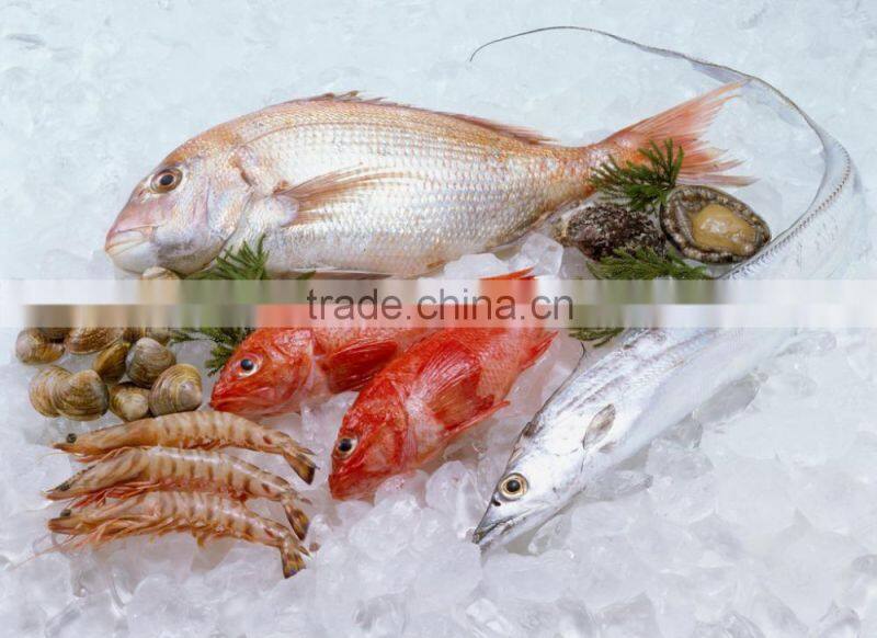 container shipping from shanghai to los angeles