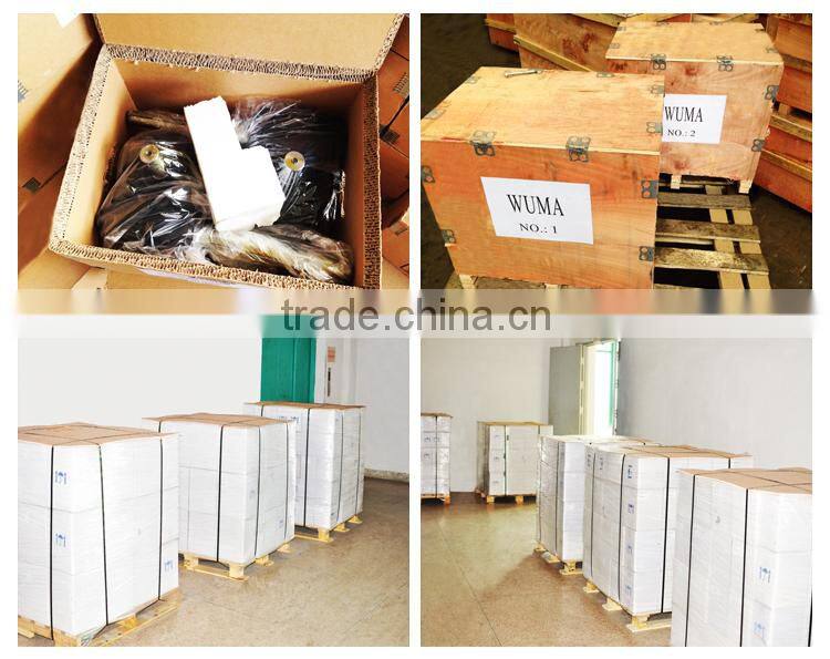 WR series helical gear reductor