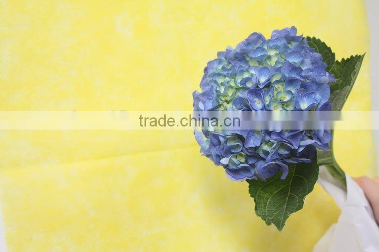Fragrant aroma classical light blue short branch hydrangea