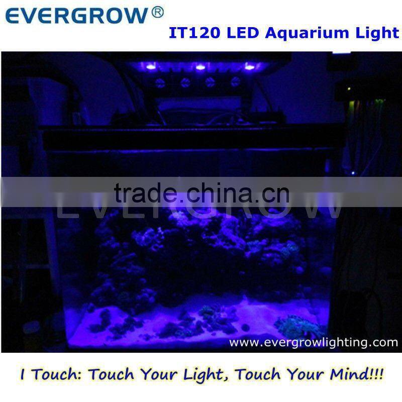 Auto dimming IT2040 55x3w aquarium led lighting coral grow