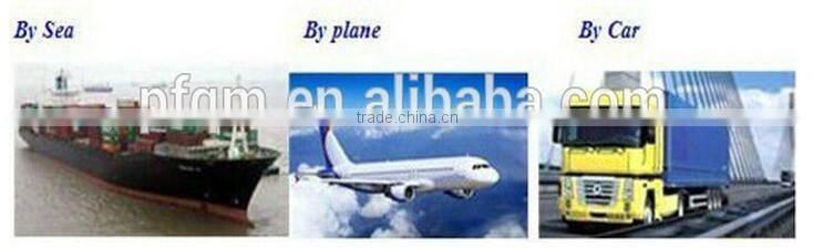 lovely inflatable bouncer with slide /inflatale jumping castle