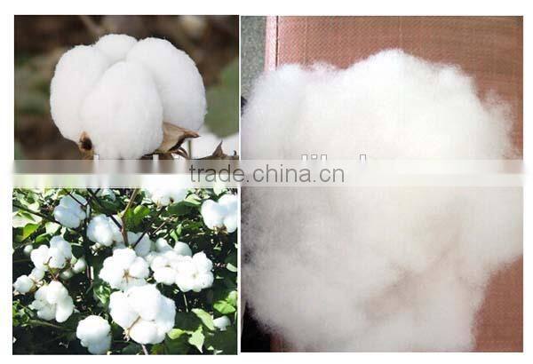 3 Star Hotel Used 32S Soft and Good Water Absorbent White Bath Towels