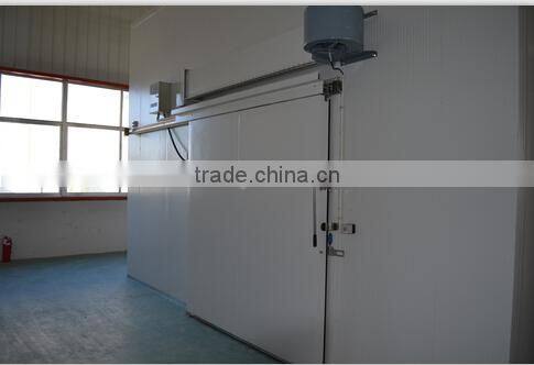 Walk-in Fruit Vegetable Meat Coldstore