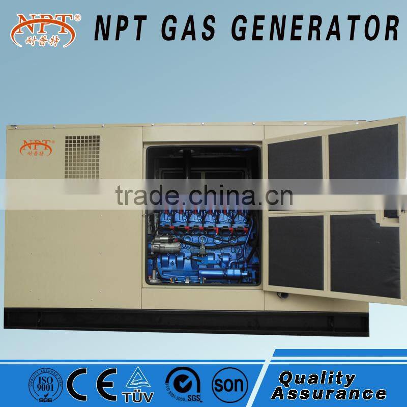 natural gas co-generator