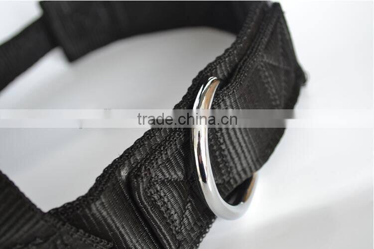 Customized Nylon material Dog Strap