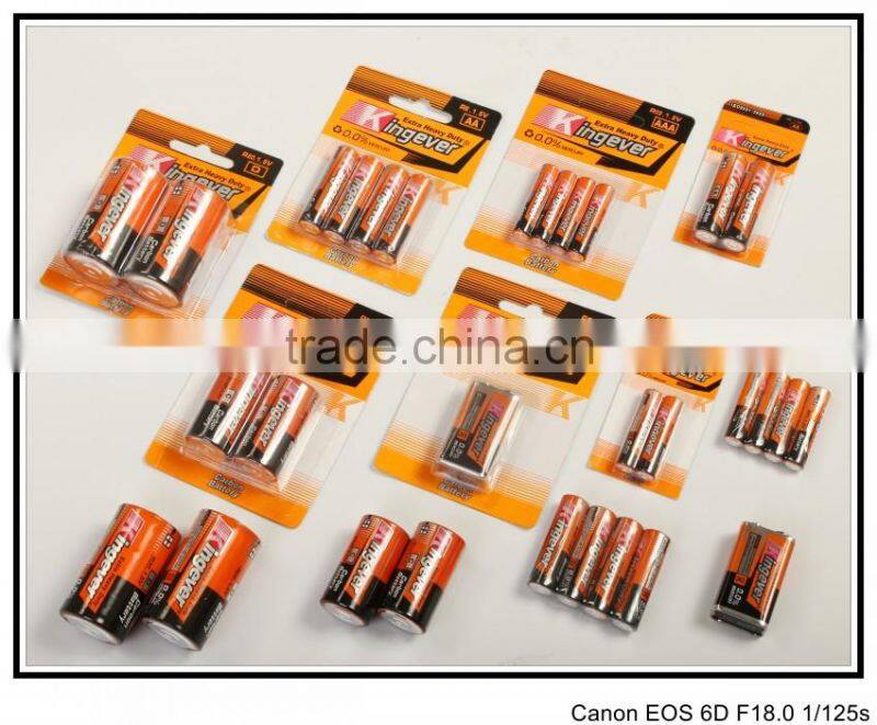 9V Zinc Carbon Battery