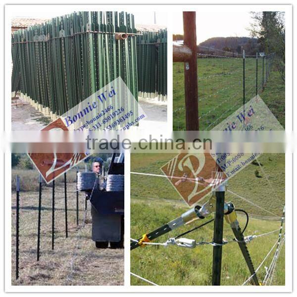 Hot dipped T post galvanized with spade (trade & factory)