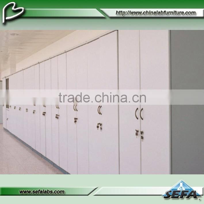Fashion Style Laboratory Steel Furniture Locker Storage Cabinet with High Quality
