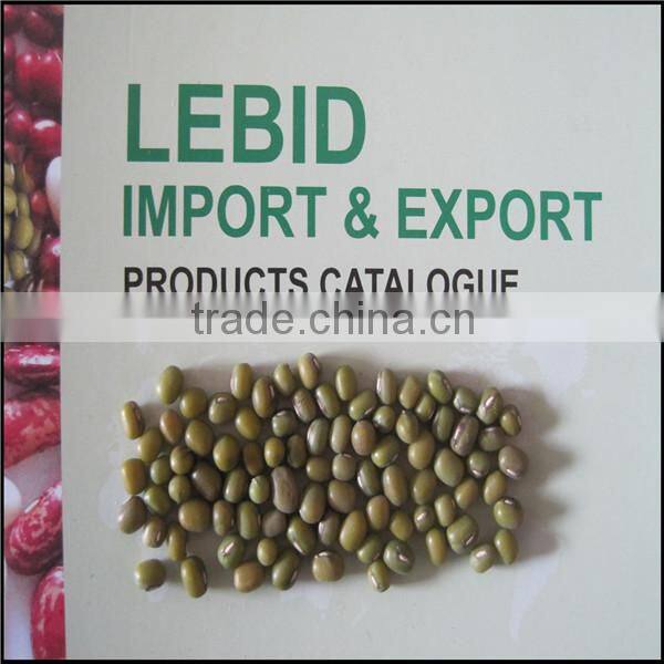Chinese Wholesale Green Mung Bean 2015 Crop