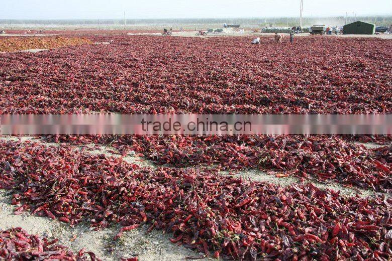 Nice visual colour 100% pure China PAPRIKA POWDER