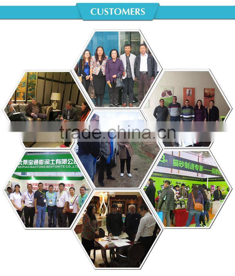 New Bentonite Complex Mineral Cat litter