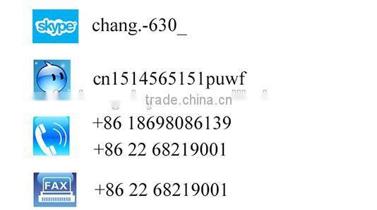 Customized Q195 Q235 Q345 Hot Dip Galvanized Scaffolding Ladder