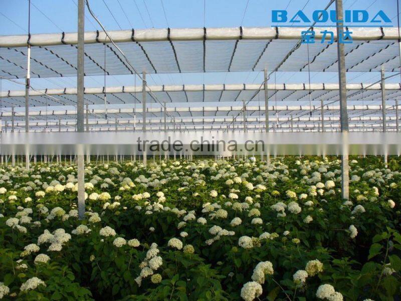 BaoLiDa venlo Polycarbonate greenhouse hot-dip galvanized steel pipe fish greenhouse