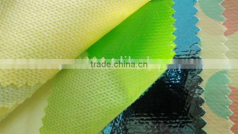 PE Film+PP Laminated Nonwoven Fabric