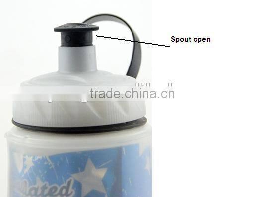 Insulated Water Bottle (650ml 22 oz) - 100% BPA-Free Water Bottle