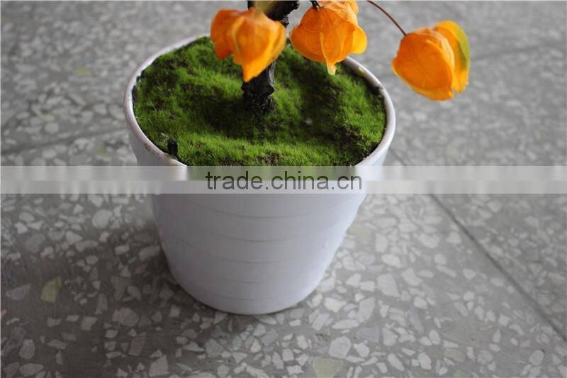 Home decor led lighting lantern grass potted plant