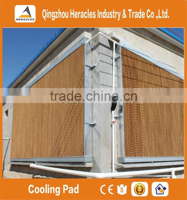 Alibaba China trade assurance pad and fan greenhouse cooling systems for poultry farm and greenhouse
