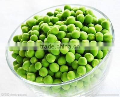 Top Quality Pea Dietary Fiber,Best price Pea Fiber